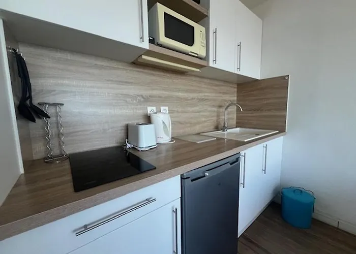 Studio Avec Vue Mer Au Lavandou - Fr-1-308-77 شقة *