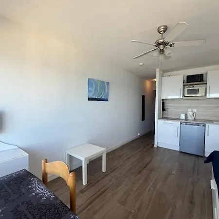 Appartement Avec Vue Au Lavandou - Fr-1-308-77 *