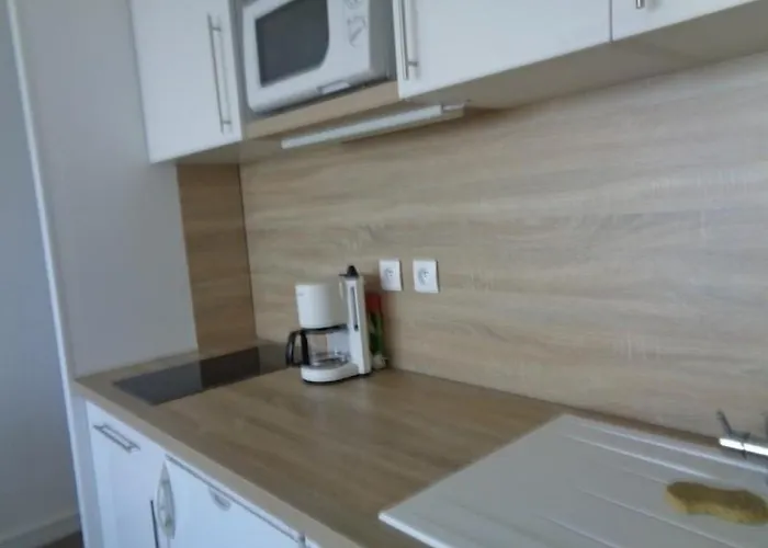 Studio Avec Vue Mer Au Lavandou - Fr-1-308-77 Apartman *