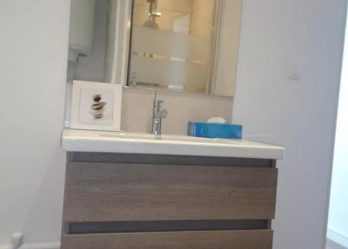 Apartman Studio Avec Vue Mer Au Lavandou - Fr-1-308-77 Le Lavandou