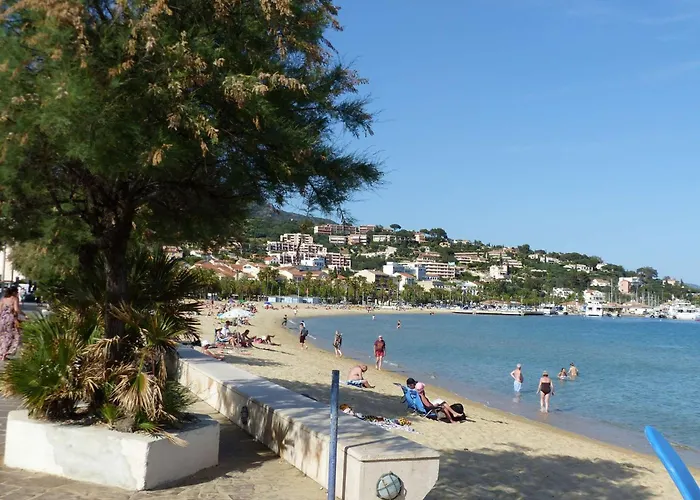 Apartment Studio Avec Vue Mer Au Lavandou - Fr-1-308-77 *